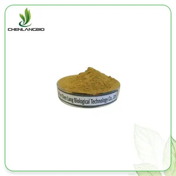 Lemon Balm Extract Powder